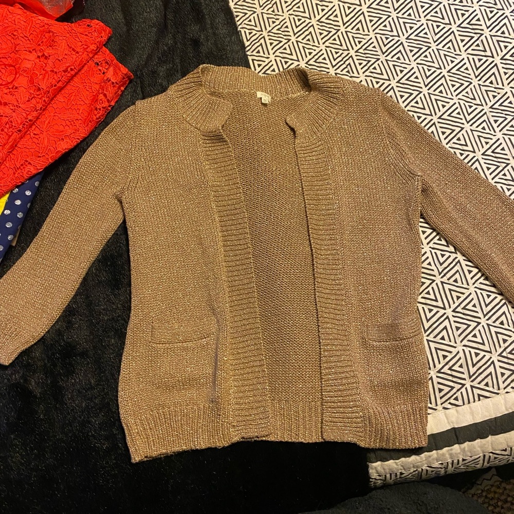 Holiday Gold Shimmer Sweater - like new!